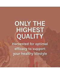 Host Defense MycoBotanicals Liver Capsules - Liver Health Supplement with Milk Thistle & Turmeric Root