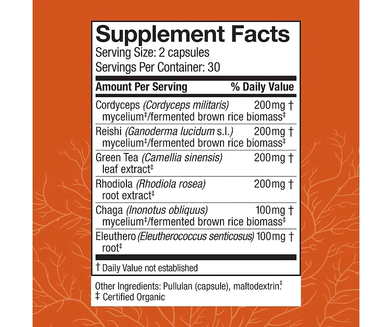 Host Defense MycoBotanicals Energy Capsules - Energy & Respiratory Support Supplement - Herbal Green Tea Capsules
