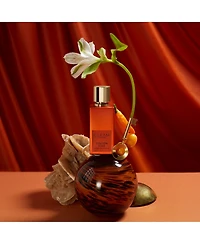 Gleam London - Golden Star Extrait De Parfum