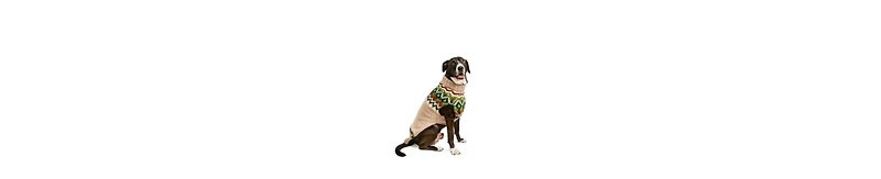Chilly Dog S Raggwool Fairisle