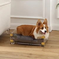 Haines 21.5" x 15.25" Small/Medium Modern Acrylic Velvet Pet Bed with Washable Cushion, Dark Gray/Clear