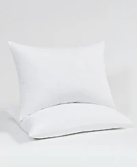 ienjoy Home Plush Hypoallergenic Microfiber 2-Pack Pillows, Standard/Queen