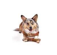Chilly Dog L Rust Plaid Coat