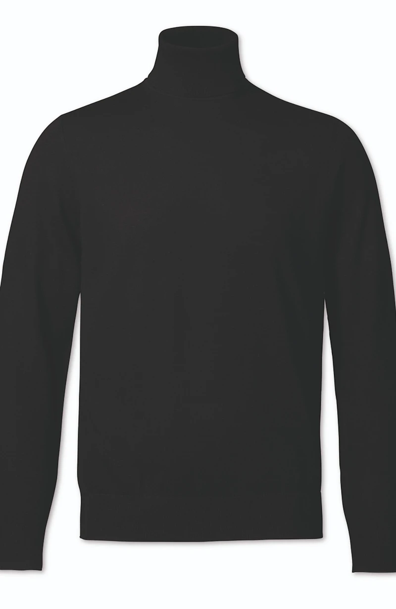 Charles Tyrwhitt Men's Pure Merino Roll Neck Sweater