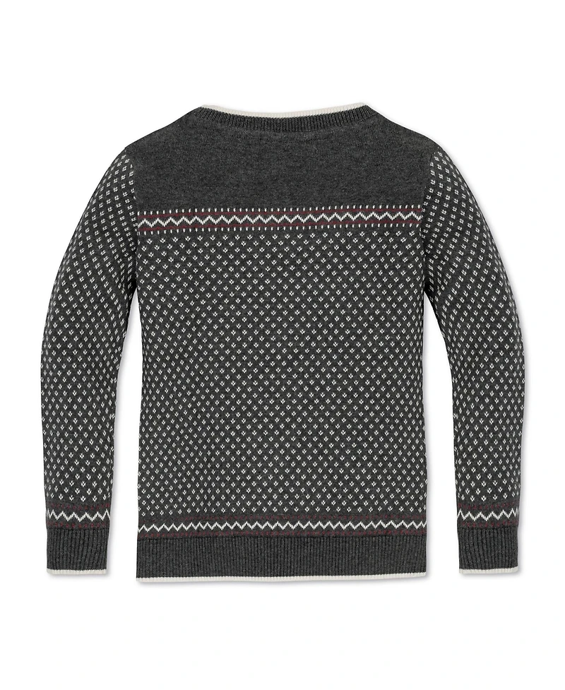 Hope & Henry Baby Boys Long Sleeve Intarsia Crew Neck Pullover Sweater