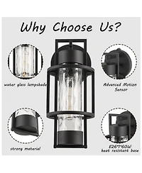 Flynama 1-Light Dusk to Dawn Outdoor Hardwired Wall Lantern Sconce with No Bulbs Included