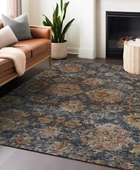 Addison Chantille Machine Washable Acn1094 Area Rug Collection