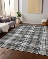Addison Chantille Machine Washable ACN993 8'x10' Area Rug