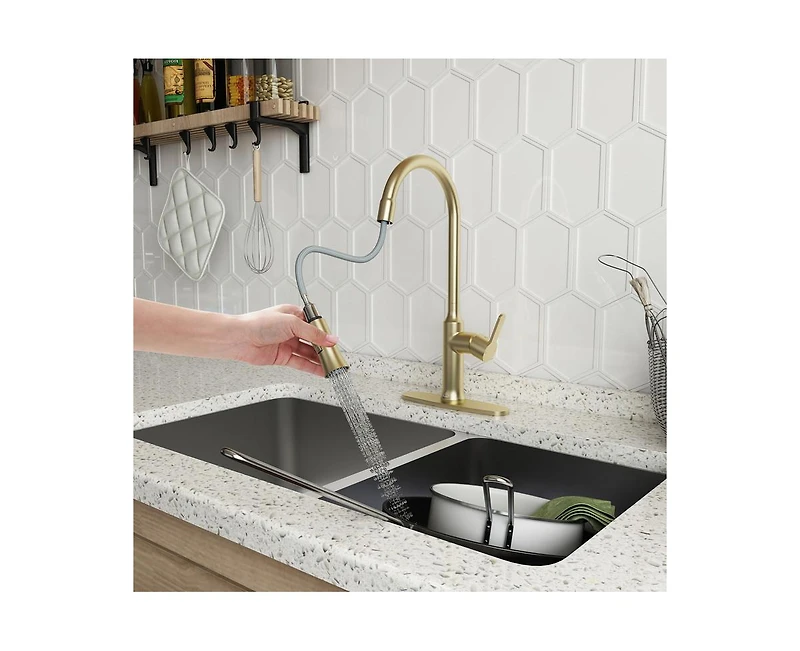Casainc 1.8 Gpm Single-Handle Pull-Down Kitchen Faucet Single Hole