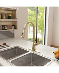Casainc Single-Handle Pull-Down Sprayer Kitchen Faucet with Digital Display