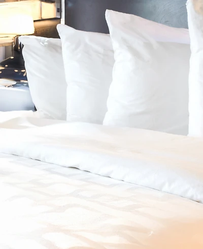 CleanBrands Pro Zippered 2-Pack Pillow Protector, Queen