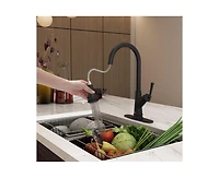 Casainc Single-Handle Pull-Down Kitchen Faucet Single Hole Faucet 1.8 Gpm