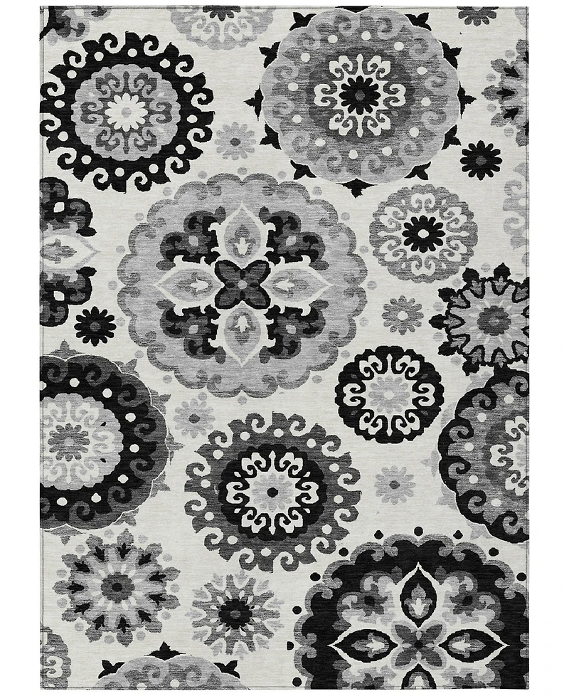 Addison Chantille Machine Washable ACN763 2'6"x3'10" Area Rug