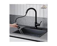 Casainc Pull Down Sprayer Kitchen Faucet with Dual-Function and Deck Plate Spot-Free