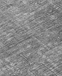 Addison Chantille Machine Washable ACN790 9'x12' Area Rug