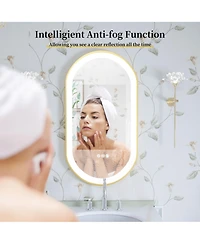 Wisfor Oval Led Bathroom Mirror Gold Frame Makeup Mirror Anti-Fog Stepless Dimming 3 Color