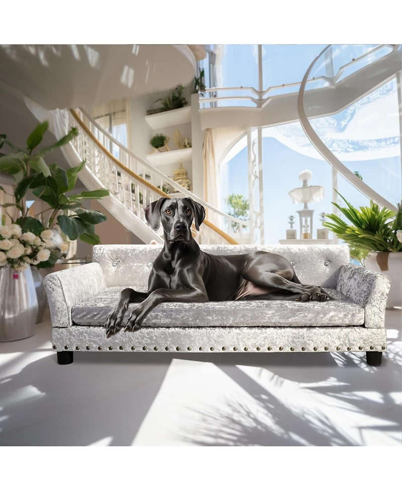 Bingopaw Dog Sofa Lounge Bed Dutch Velvet Upholstered Pet Couch Bed Removable Cushion