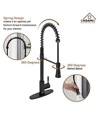 Casainc Spring Pull Down Sprayer Kitchen Faucet with Dual-Function Spray Head and Deck Plate
