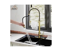 Casainc Spring Pull Down Sprayer Kitchen Faucet with Dual-Function Spray Head and Deck Plate