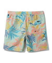Quiksilver Men's Everyday Mix Volley 17 Nb Board Shorts