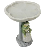 Brooding Frog on a Stone 22-Inch H Polyresin Bird Bath