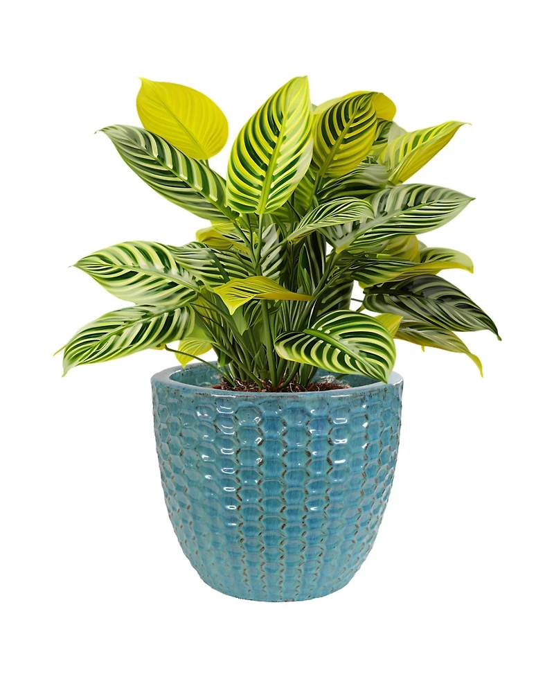 Raised Hexagon Pattern Glazed Ceramic Planter - Turquoise - 14" Round