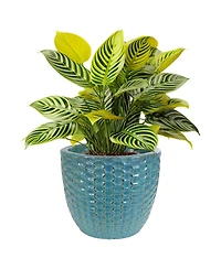 Raised Hexagon Pattern Glazed Ceramic Planter - Turquoise - 14" Round