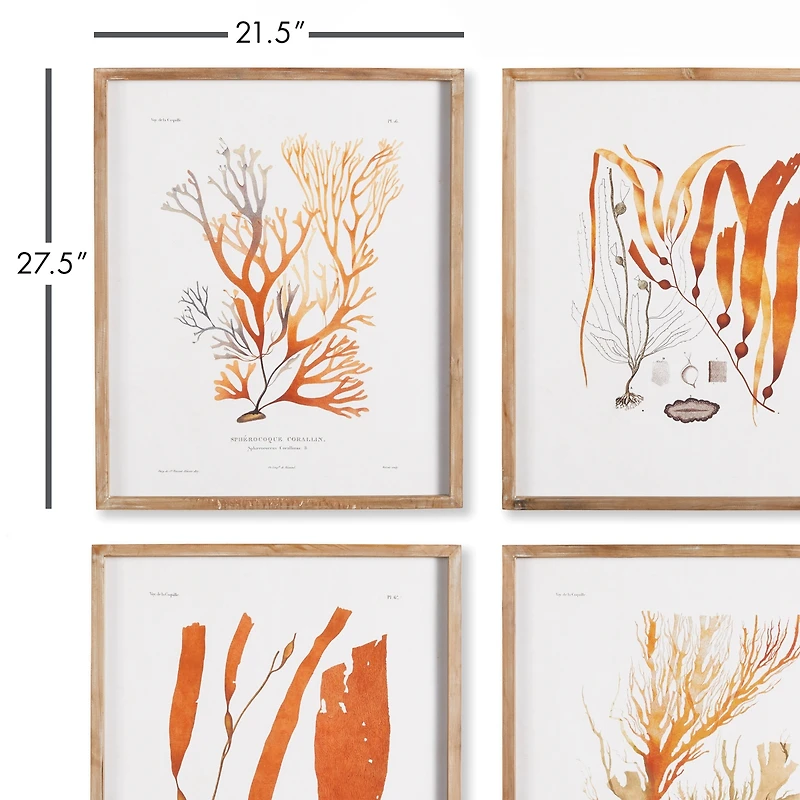 Coral Reef Study Set of 4