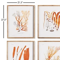 Coral Reef Study Set of 4