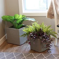 Square Indoor Polyrattan Planters with Attached Clear Polypropylene Liner 14" Square x 11" H and 14" Square x 11" H