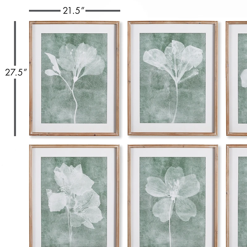 Napa Home & Garden Translucent Floral Prints Set of 6