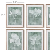 Napa Home & Garden Translucent Floral Prints Set of 6