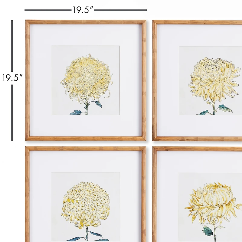 Chrysanthemum Prints Set of 4