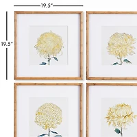 Chrysanthemum Prints Set of 4