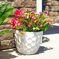Honeycomb Pattern Ceramic Planter - 11.25" Round - White - 2-Pack