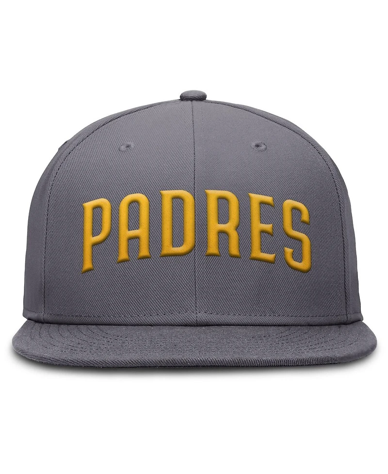 Nike Men's Gray San Diego Padres Performance True Fitted Hat