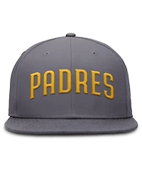 Nike Men's Gray San Diego Padres Performance True Fitted Hat