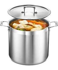 Bakken-Swiss 16-Quart Brushed Stainless Steel Stockpot with Lid – Heavy-Duty Induction Pot with Riveted Handles – Ideal for Soup, Seafoo