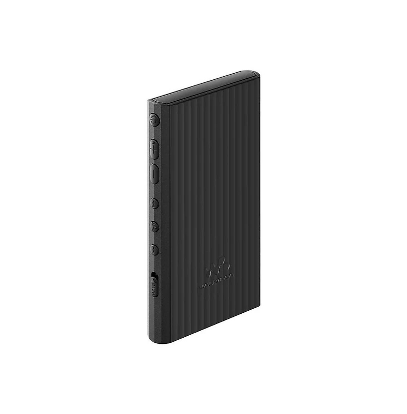 Sony Nw-A306 Walkman A Series High-Resolution Digital Audio Player (Black) bundle