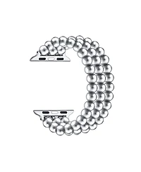 Posh Tech Nova Stainless Steel Band for Apple Watch, Fits All Apple Watch Models