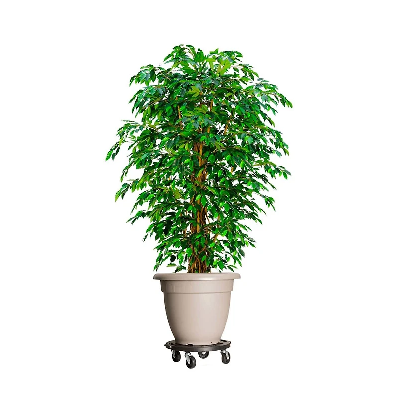 Plant Trolley with Wheels Diameter 15.7" Black 606.3 lb
