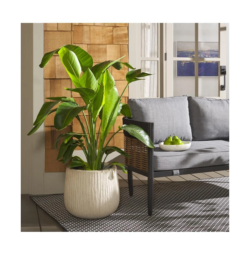 Francia Planter