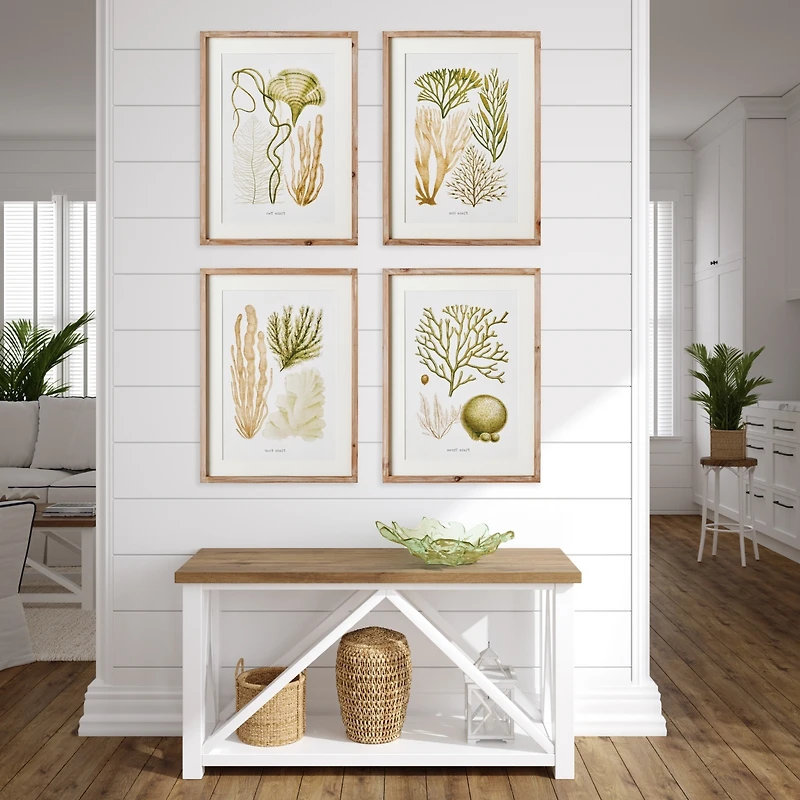 19.75"W x 1"D x 26.75"H Verdant Coral Study Framed Wall Art Set of 4