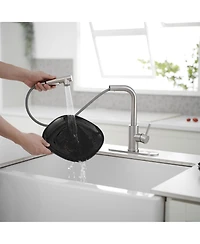 2 Sprayer Single Hole Single-Handle Pull Out Kitchen Faucet 360Swivel Spout