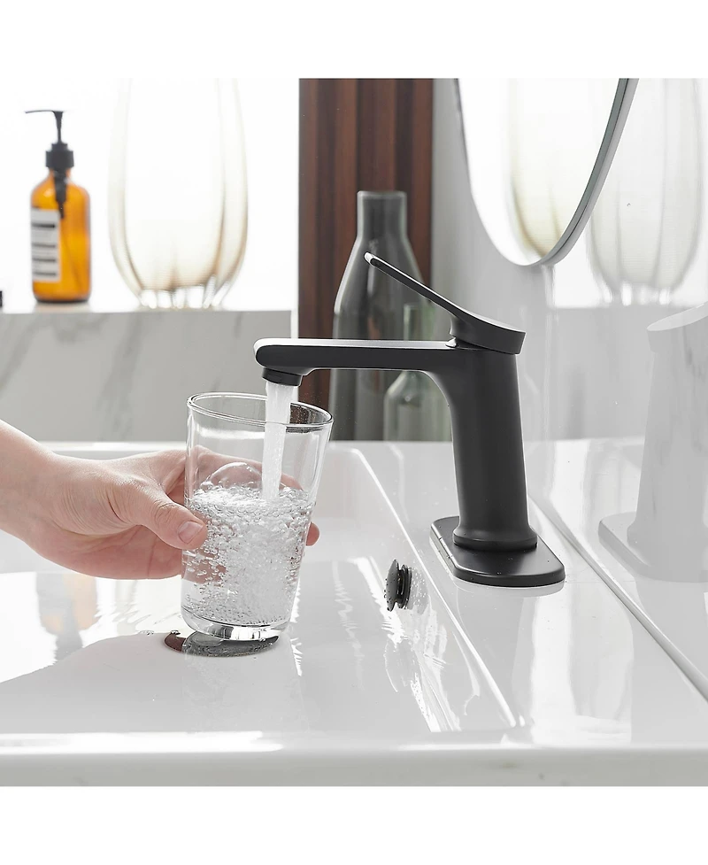 Single Hole Single-Handle Bathroom Faucet in Matte Black