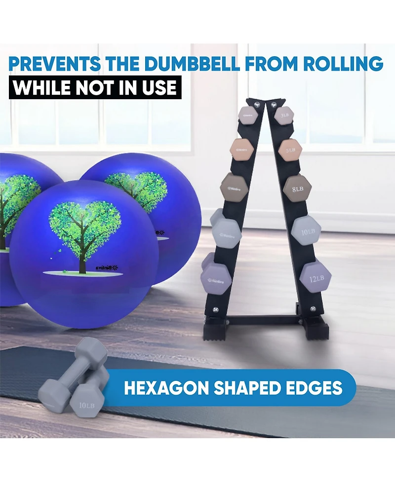 Bintiva Earthtone Dumbbell Kit With Stand