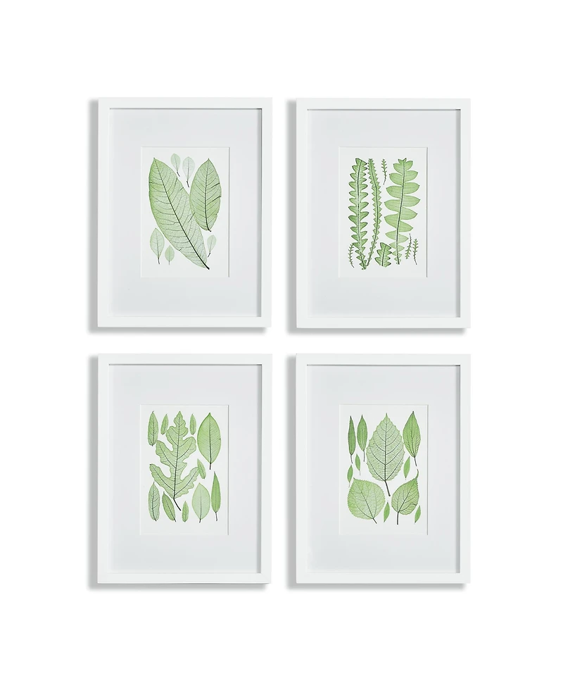 Assorted Leaf Prints, Set Of 4