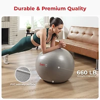 Sunny Health & Fitness Premium Yoga Ball Small 55CM Anti-Burst Exercise Ball for Workouts, Pregnancy, Physical Therapy, Stability Ball Chair Fitness,
