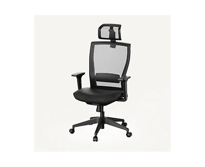 FlexiSpot C4B Ergonomic Mesh High-Back Office Chair, Black