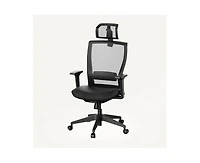 FlexiSpot C4B Ergonomic Mesh High-Back Office Chair, Black